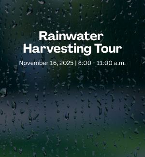 Rain on a glass window.