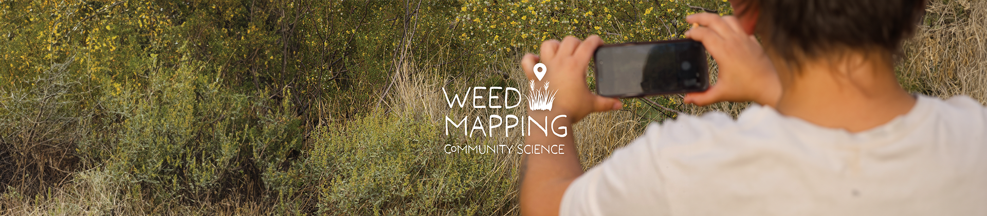 Weedmapping Page header image