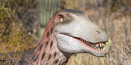 Photo of a Deinonychus replica