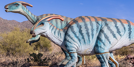 Photo of a Parasaurolophus replica