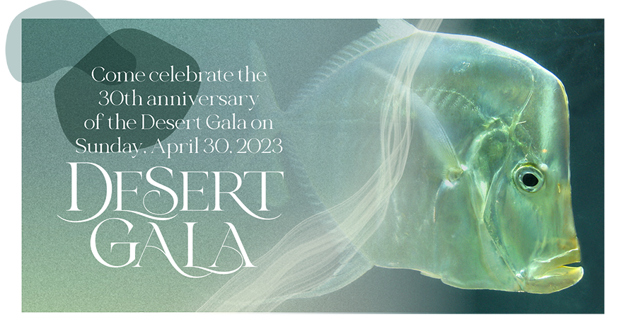 2023 Virtual Desert Gala - Sunday, April 30, 2023