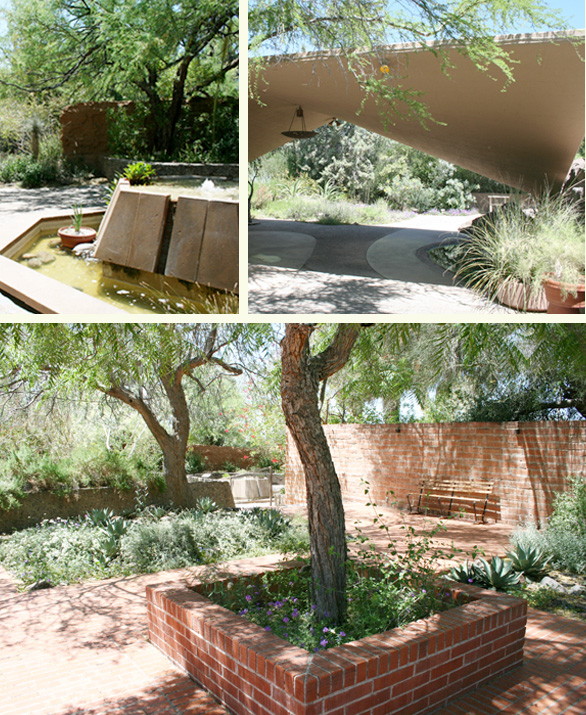 Views of the Desert Garden