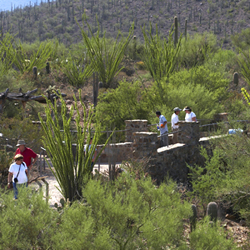 Guests on the Desert Loop Trail