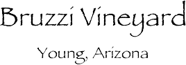 Bruzzi Vineyard