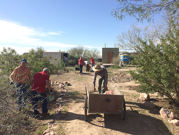 Planting a pollinator garden