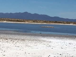 Salt flats in Pinacate Biosphere Reserve