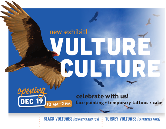 New Exhibit! Vulture Culture - Opening Dec 19, 10am To 2 Pm. Celebrate ...