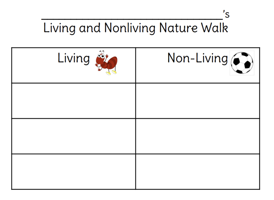 Worksheet: Nature Walk