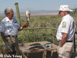 Docents with barn owl